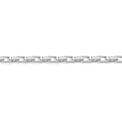 Close up detail of silver-tone box chain